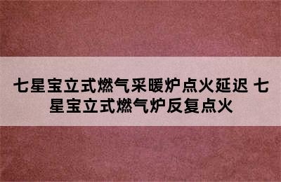 七星宝立式燃气采暖炉点火延迟 七星宝立式燃气炉反复点火